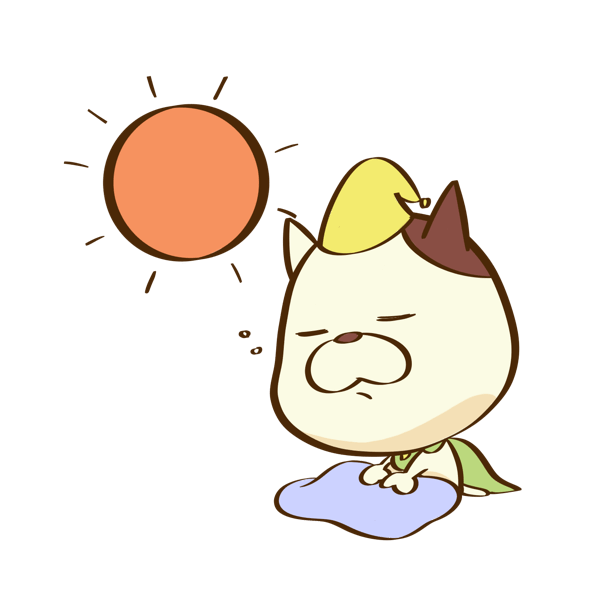 さてにゃん起きる